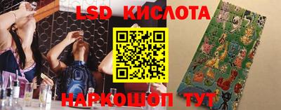 индика Новокубанск
