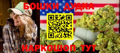 индика Новокубанск