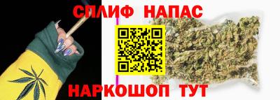 индика Новокубанск