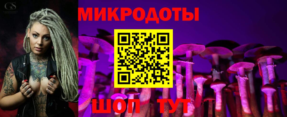 Псилоцибиновые грибы Psilocybine cubensis Сухой Лог