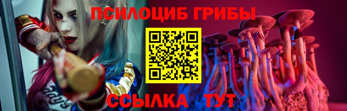 Сухой Лог  Галлюциногенные грибы Magic Shrooms  Галлюциногенные грибы прущие грибы  Вход с VPN 